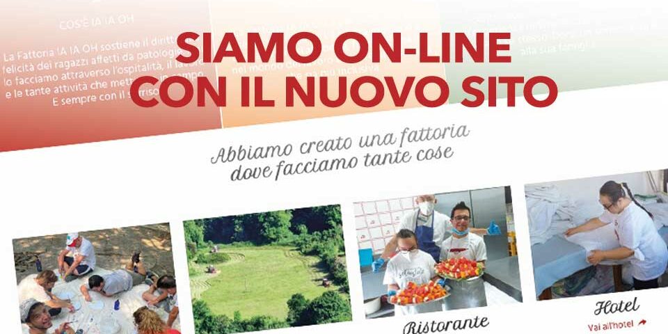 sito online